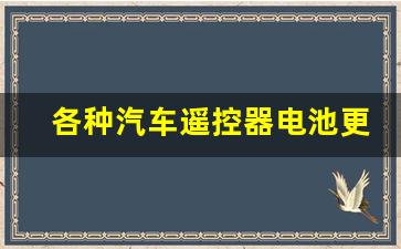 各种汽车遥控器电池更换方法视频