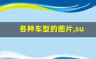 各种车型的图片,suv全部车型价格图片