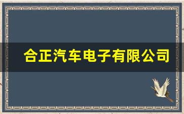 合正汽车电子有限公司