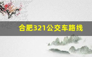 合肥321公交车路线路线图,合肥30路公交车最新路线和时间