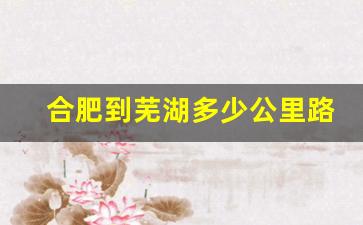 合肥到芜湖多少公里路,合肥到芜湖高速路况实时查询