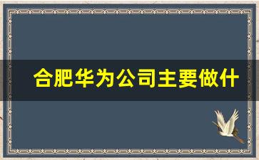 合肥华为公司主要做什么