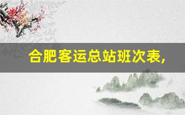 合肥客运总站班次表,合肥到白山镇车时间表