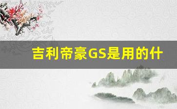 吉利帝豪GS是用的什么蓄电池,2019吉利帝豪GS换电瓶教程