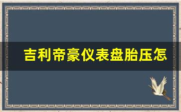 吉利帝豪仪表盘胎压怎么看