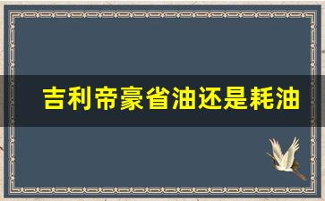 吉利帝豪省油还是耗油