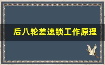 后八轮差速锁工作原理视频,后桥差速锁有什么用