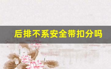 后排不系安全带扣分吗,后排没带安全带扣多少分罚多少钱