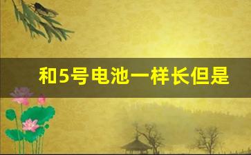 和5号电池一样长但是粗,5号电池和七号电池图片