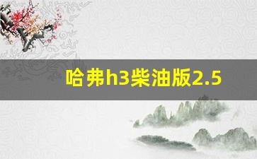 哈弗h3柴油版2.5t发动机怎么样,哈弗h3二手车价格