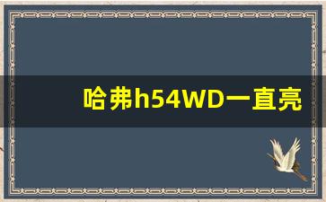 哈弗h54WD一直亮