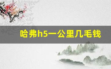 哈弗h5一公里几毛钱,哈弗h5百公里油耗多少