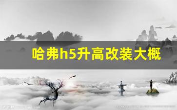 哈弗h5升高改装大概多少钱,哈弗h5改装24款案例图片