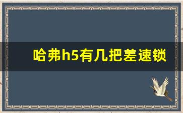 哈弗h5有几把差速锁