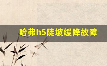 哈弗h5陡坡缓降故障和4WD亮,陡坡缓降故障影响正常行驶吗