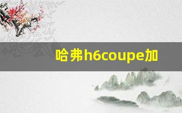 哈弗h6coupe加装360全景,汽车装360全景需要多久时间