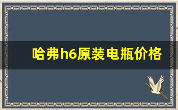 哈弗h6原装电瓶价格