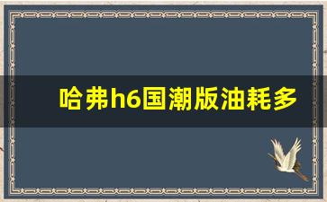 哈弗h6国潮版油耗多少钱一公里,哈弗h6油耗1.5t