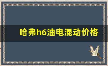 哈弗h6油电混动价格,h6三代混动参数配置表图片