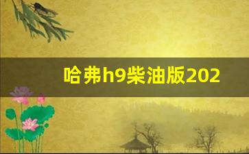 哈弗h9柴油版2020款,直瀑式进气格栅