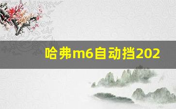 哈弗m6自动挡2023款价格,开哈弗一般什么档次人