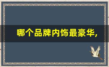 哪个品牌内饰最豪华,十大内饰有科技感的车