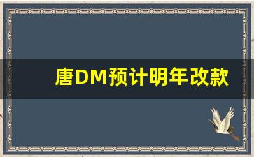 唐DM预计明年改款