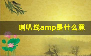 喇叭线amp是什么意思