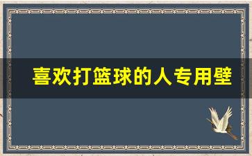 喜欢打篮球的人专用壁纸,高清篮球壁纸4k全屏