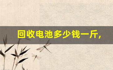 回收电池多少钱一斤,2023废旧电瓶回收价格表