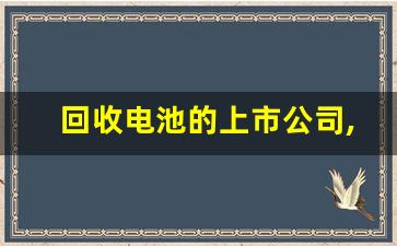 回收电池的上市公司,锂电回收龙头企业