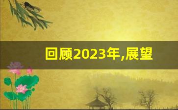 回顾2023年,展望2024年