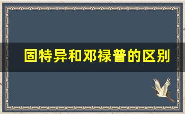 固特异和邓禄普的区别,轮胎选马牌还是邓禄普