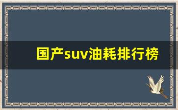 国产suv油耗排行榜