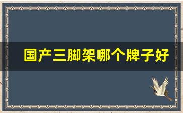 国产三脚架哪个牌子好,十大手持稳定器排名