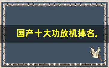 国产十大功放机排名,国产十大功放机排名什么申