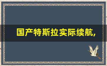 国产特斯拉实际续航,特斯拉3续航