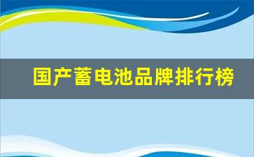 国产蓄电池品牌排行榜前十名,汽车蓄电池十大排行