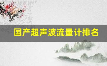 国产超声波流量计排名,超声波流量计制造厂家