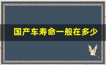 国产车寿命一般在多少年