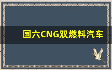 国六CNG双燃料汽车