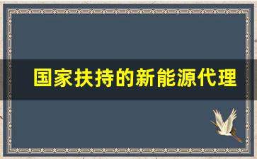 国家扶持的新能源代理,我想开个新能源充电站