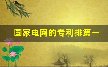 国家电网的专利排第一吗,国网专利数量在全球排第几