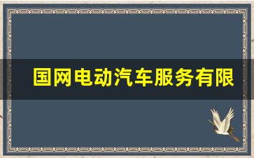 国网电动汽车服务有限公司