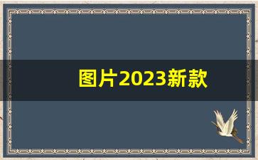 图片2023新款