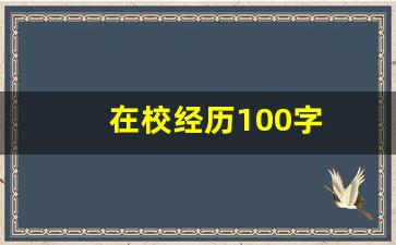 在校经历100字