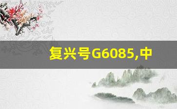 复兴号G6085,中国复兴号