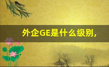 外企GE是什么级别,GE代表什么岗位