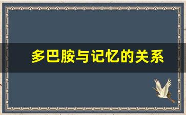 多巴胺与记忆的关系