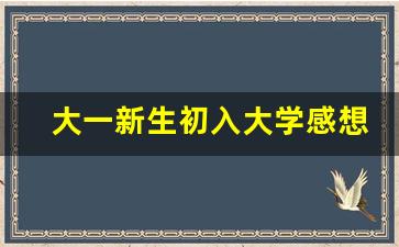 大一新生初入大学感想论文,大学初体验800字随笔